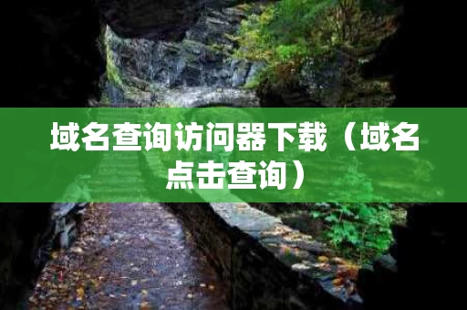 域名查询访问器下载（域名点击查询）
