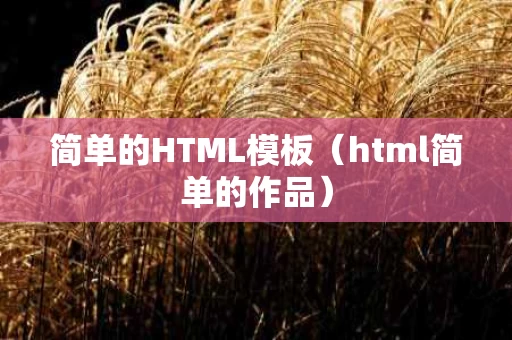 简单的HTML模板（html简单的作品）