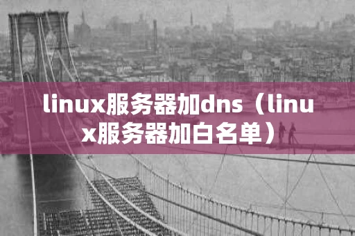 linux服务器加dns（linux服务器加白名单）