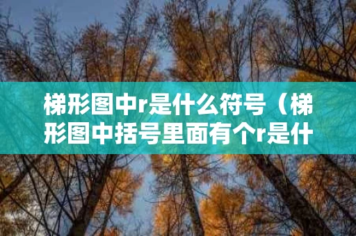 梯形图中r是什么符号（梯形图中括号里面有个r是什么）