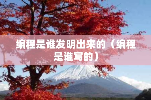 编程是谁发明出来的（编程是谁写的）