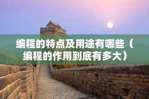 编程的特点及用途有哪些（编程的作用到底有多大）