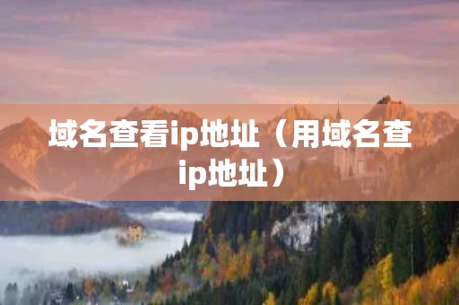 域名查看ip地址（用域名查ip地址）