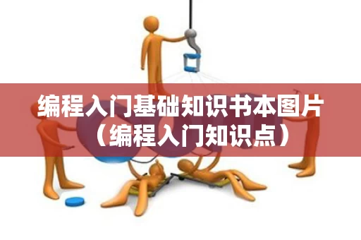 编程入门基础知识书本图片（编程入门知识点）