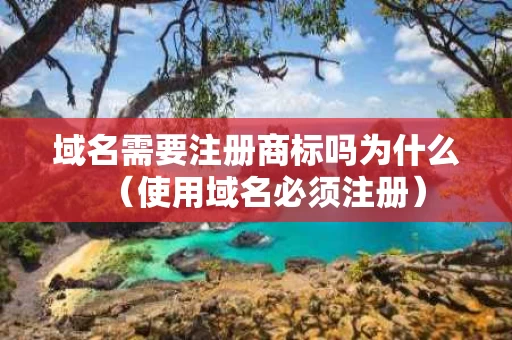 域名需要注册商标吗为什么（使用域名必须注册）