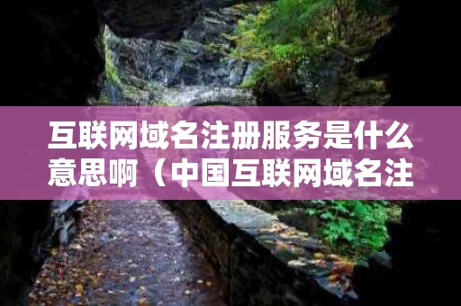 互联网域名注册服务是什么意思啊（中国互联网域名注册实行什么制度）