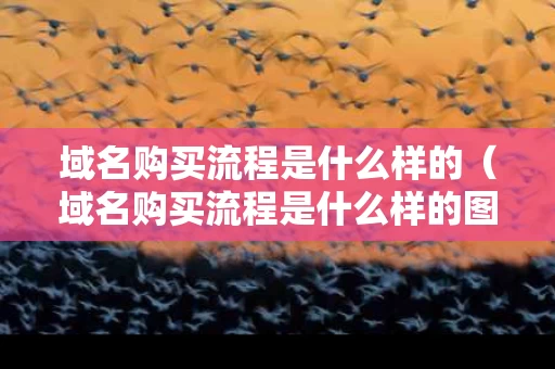 域名购买流程是什么样的（域名购买流程是什么样的图片）