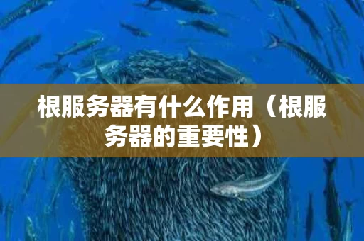 根服务器有什么作用（根服务器的重要性）