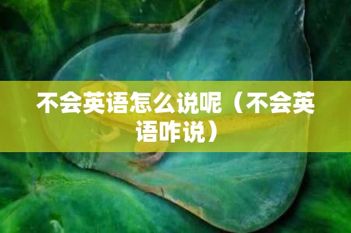 不会英语怎么说呢（不会英语咋说）