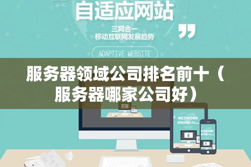 服务器领域公司排名前十（服务器哪家公司好）