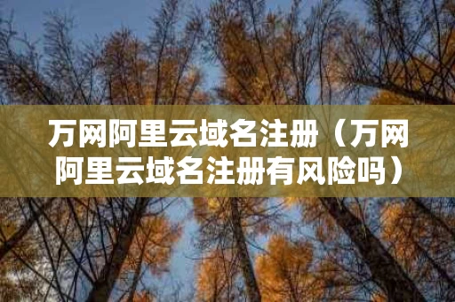 万网阿里云域名注册（万网阿里云域名注册有风险吗）