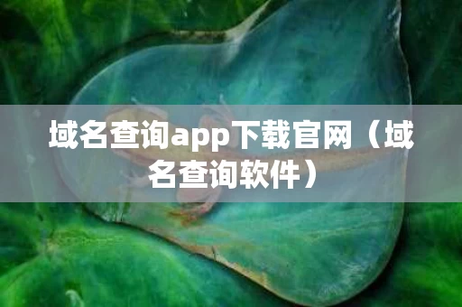 域名查询app下载官网（域名查询软件）