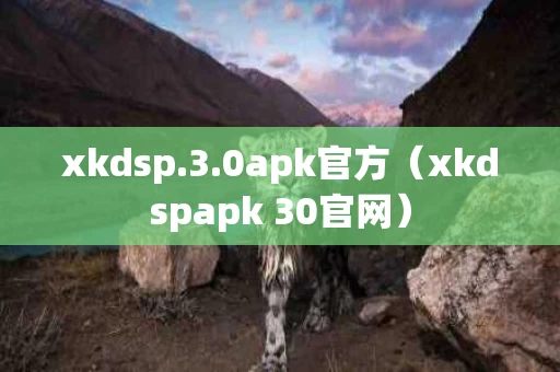 xkdsp.3.0apk官方（xkdspapk 30官网）