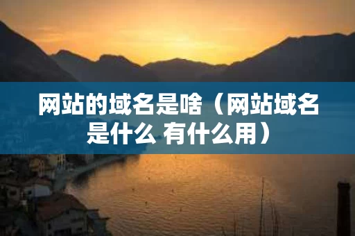 网站的域名是啥（网站域名是什么 有什么用）
