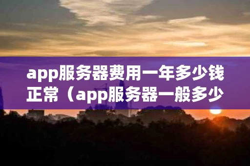 app服务器费用一年多少钱正常（app服务器一般多少钱一年）
