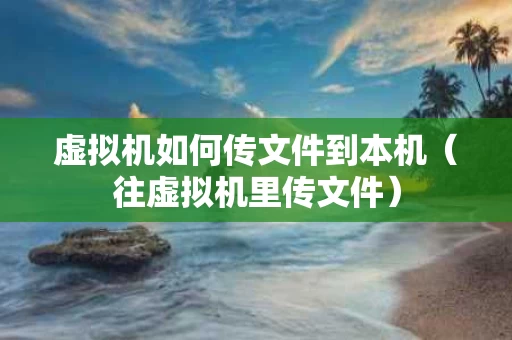 虚拟机如何传文件到本机（往虚拟机里传文件）