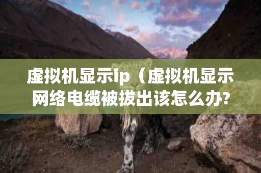 虚拟机显示ip（虚拟机显示网络电缆被拔出该怎么办?）