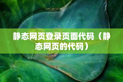 静态网页登录页面代码（静态网页的代码）