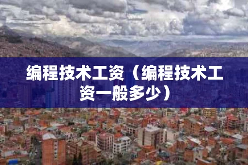 编程技术工资（编程技术工资一般多少）