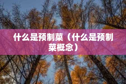 什么是预制菜（什么是预制菜概念）