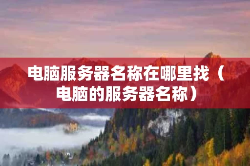 电脑服务器名称在哪里找（电脑的服务器名称）