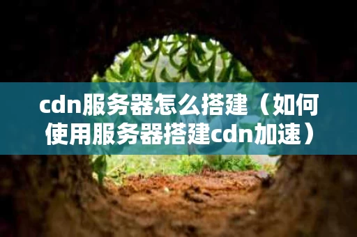 cdn服务器怎么搭建（如何使用服务器搭建cdn加速）
