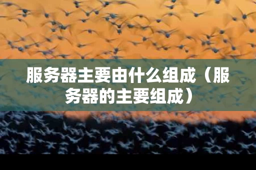 服务器主要由什么组成（服务器的主要组成）