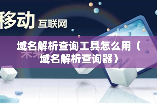 域名解析查询工具怎么用（域名解析查询器）