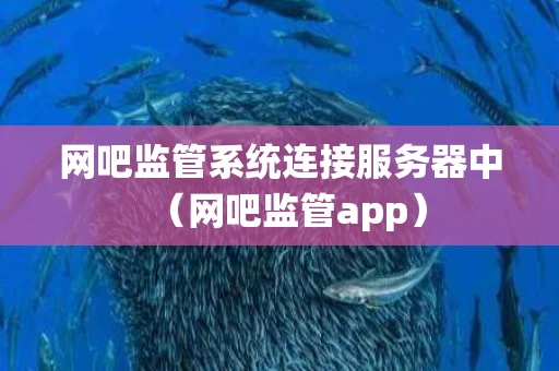 网吧监管系统连接服务器中（网吧监管app）