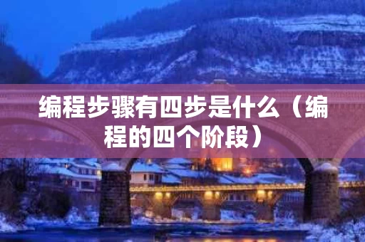 编程步骤有四步是什么（编程的四个阶段）
