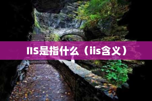 IIS是指什么（iis含义）