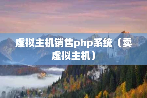 虚拟主机销售php系统（卖虚拟主机）