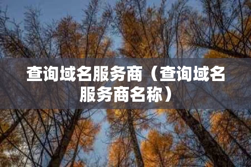 查询域名服务商（查询域名服务商名称）