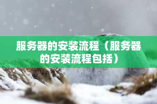 服务器的安装流程（服务器的安装流程包括）