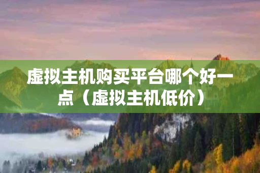 虚拟主机购买平台哪个好一点（虚拟主机低价）