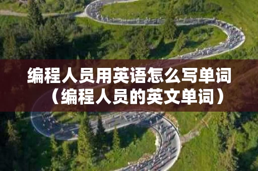 编程人员用英语怎么写单词（编程人员的英文单词）