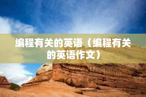 编程有关的英语（编程有关的英语作文）