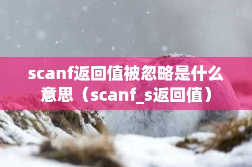 scanf返回值被忽略是什么意思（scanf_s返回值）