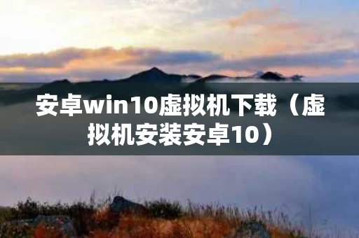 安卓win10虚拟机下载（虚拟机安装安卓10）