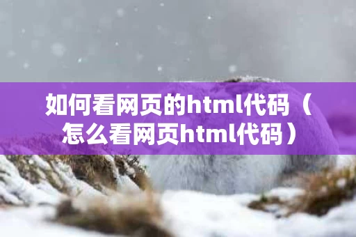如何看网页的html代码（怎么看网页html代码）