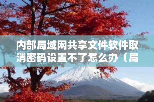 内部局域网共享文件软件取消密码设置不了怎么办（局域网文件共享需要密码）