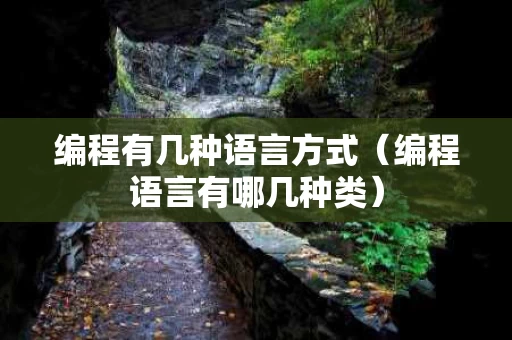 编程有几种语言方式（编程语言有哪几种类）