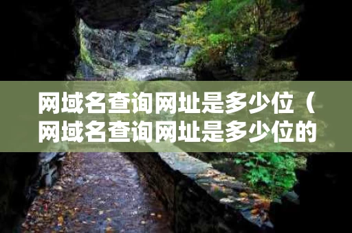 网域名查询网址是多少位（网域名查询网址是多少位的）