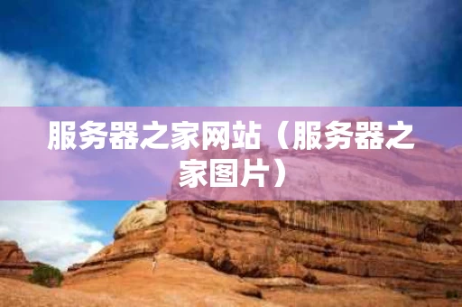 服务器之家网站（服务器之家图片）