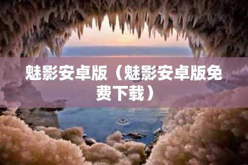 魅影安卓版（魅影安卓版免费下载）