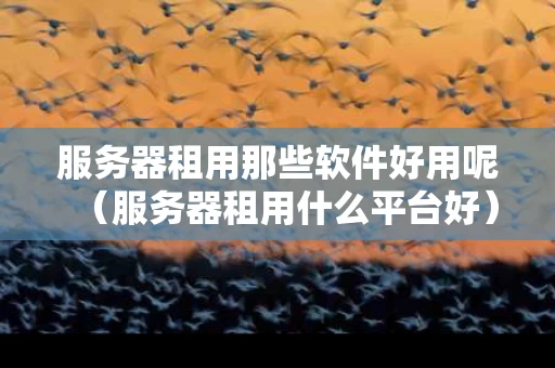 服务器租用那些软件好用呢（服务器租用什么平台好）