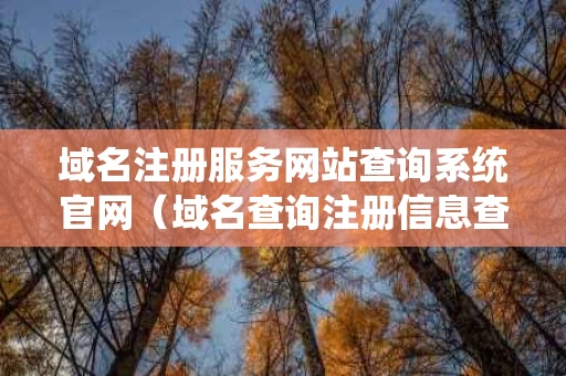 域名注册服务网站查询系统官网（域名查询注册信息查询）