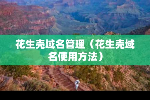 花生壳域名管理（花生壳域名使用方法）