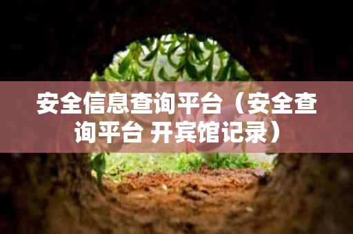 安全信息查询平台（安全查询平台 开宾馆记录）