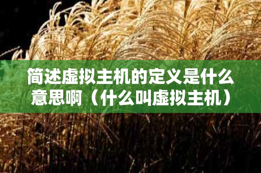 简述虚拟主机的定义是什么意思啊（什么叫虚拟主机）